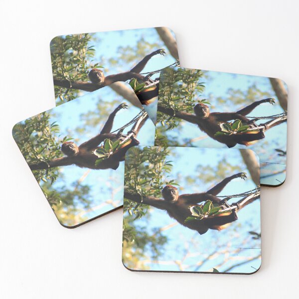 Item preview, Jump designed and sold by zumi.