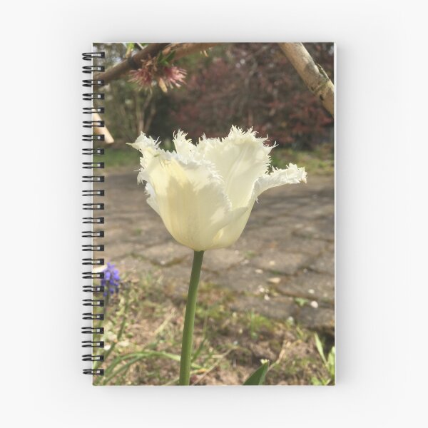 Item preview, Tulipán blanco designed and sold by RDLT.