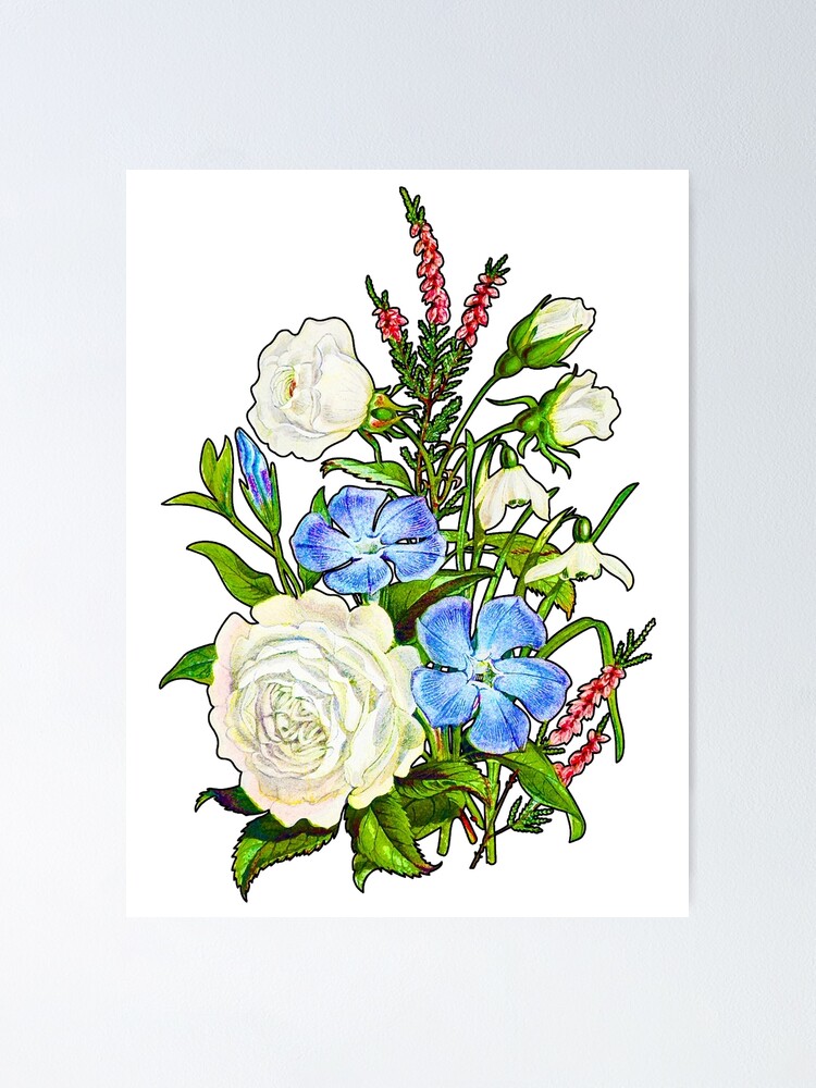 Poster « Rose blanche et fleurs bleues, Bouquet de fleurs héritage Antique,  Aquatinte Aquatinte Original PNG 11 », par OrchardArts | Redbubble