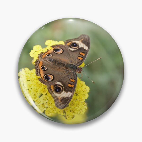 Item preview, Junonia coenia butterfly, known as the common buckeye, on yellow flowers designed and sold by SDym Photography.