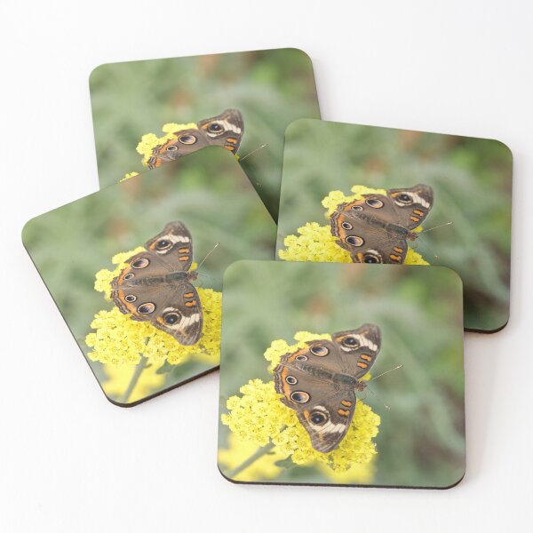 Item preview, Junonia coenia butterfly, known as the common buckeye, on yellow flowers designed and sold by SDym Photography.