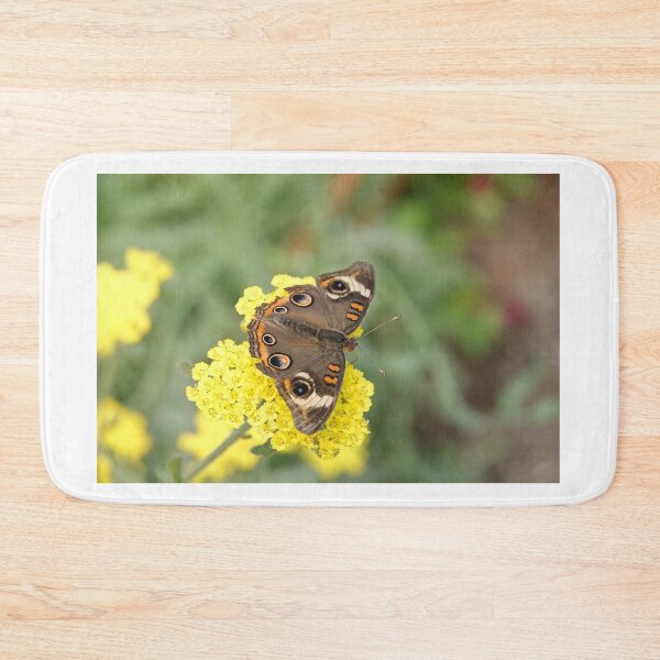 Item preview, Junonia coenia butterfly, known as the common buckeye, on yellow flowers designed and sold by SDym Photography.