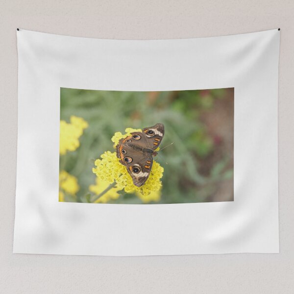 Item preview, Junonia coenia butterfly, known as the common buckeye, on yellow flowers designed and sold by SDym Photography.
