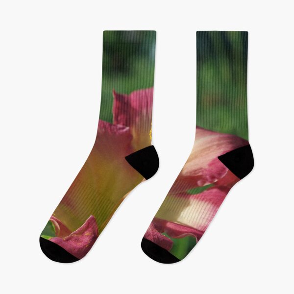 Item preview, Sunrise in a flower - Hemerocallis White Eyes Pink Dragon Daylily designed and sold by rvjames.