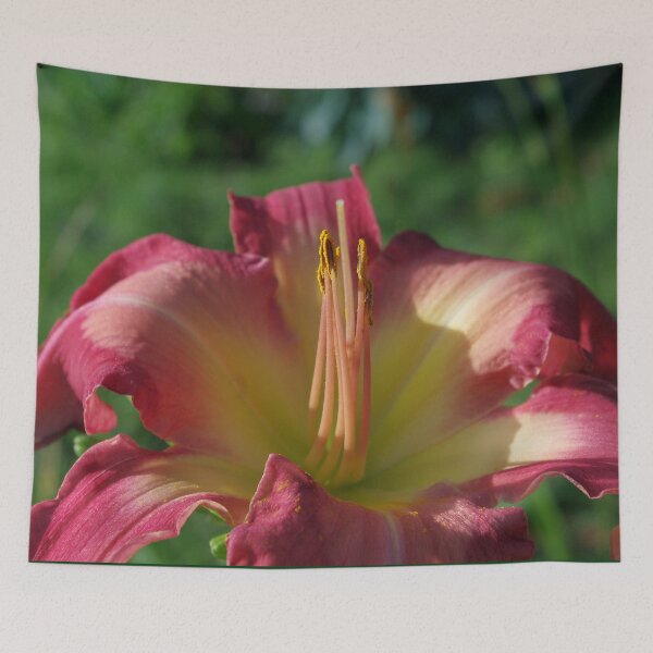 Item preview, Sunrise in a flower - Hemerocallis White Eyes Pink Dragon Daylily designed and sold by rvjames.