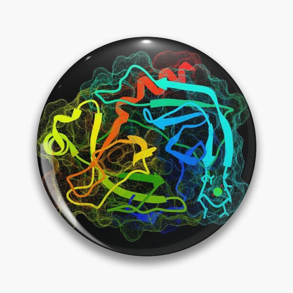 Item preview, Trypsin designed and sold by 3D Biology.