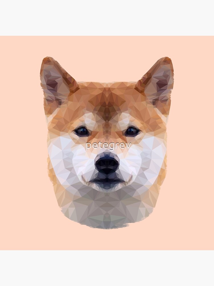 The Shiba Inu by petegrev