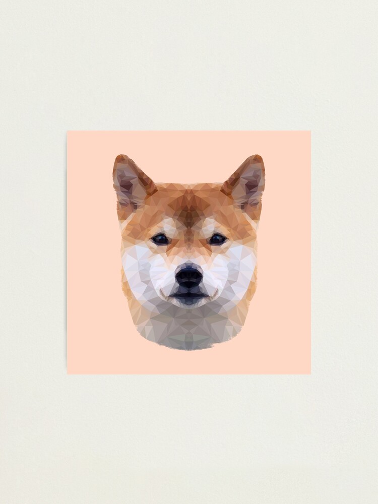 Alternate view of The Shiba Inu Photographic Print