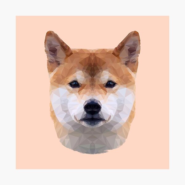 Photographic Print