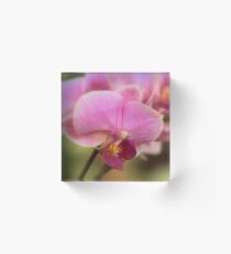 In the Pink Acrylic Block