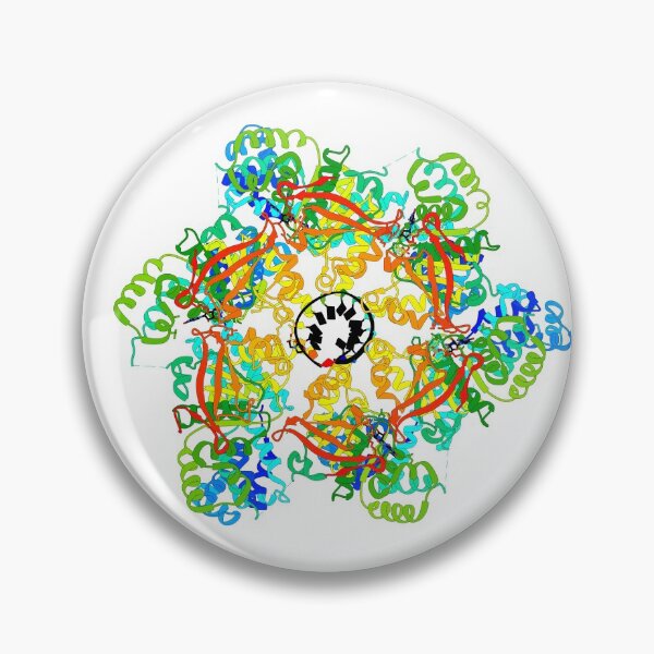 Item preview, DNA Helicase  designed and sold by 3D Biology.