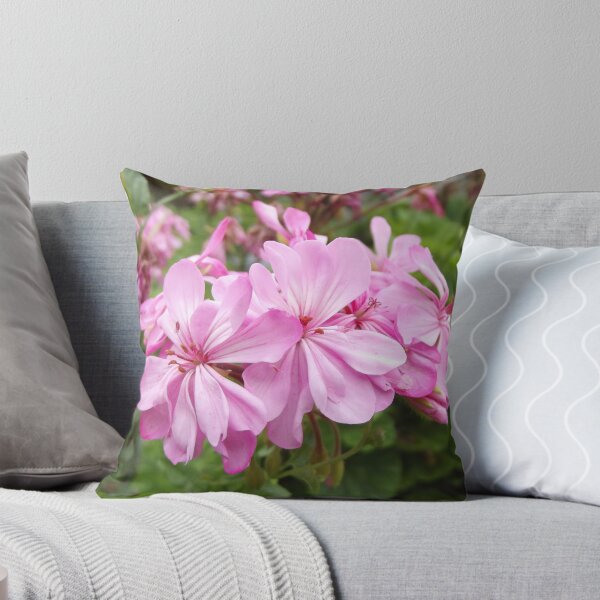 Item preview, Pink pelargonium flowers designed and sold by greentiger1.