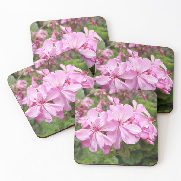 Item preview, Pink pelargonium flowers designed and sold by greentiger1.