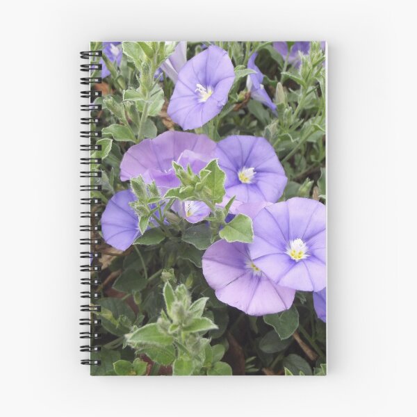 Item preview, Convolvulus sabatius designed and sold by greentiger1.