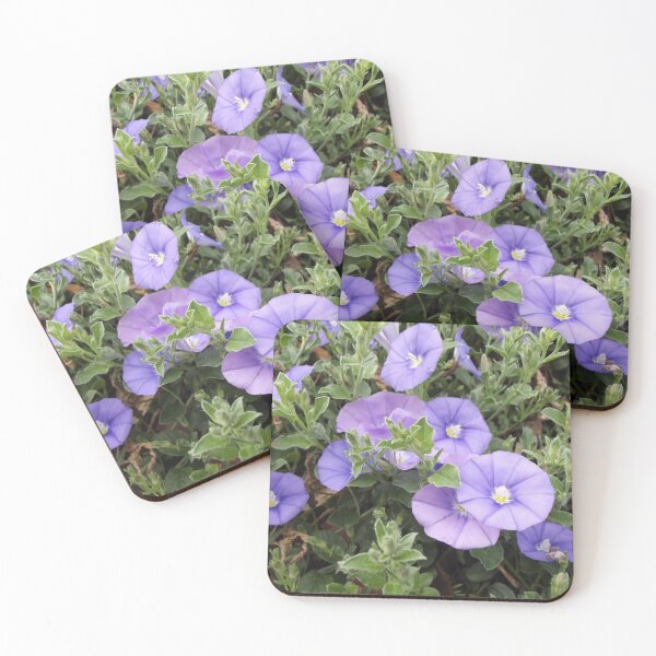 Item preview, Convolvulus sabatius designed and sold by greentiger1.