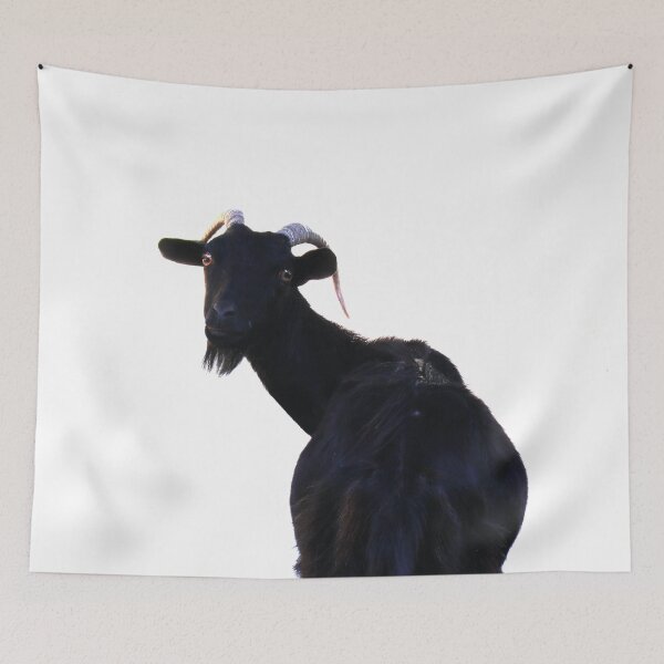 Item preview, Funny Goat looking at you on a white background designed and sold by Michaelerch.