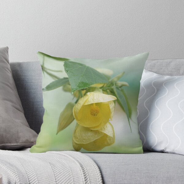 Item preview, Abutilon 'Canary Bird' designed and sold by Alan Gregg.