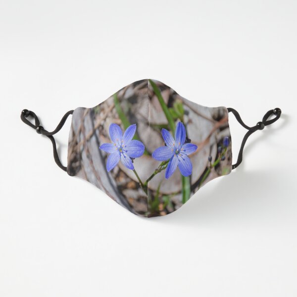 Blue Squills Fitted 3-Layer