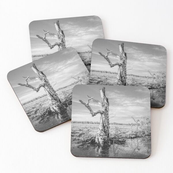 Item preview, Tree Standing Strong In Kakadu National Park designed and sold by Catherine Reading.