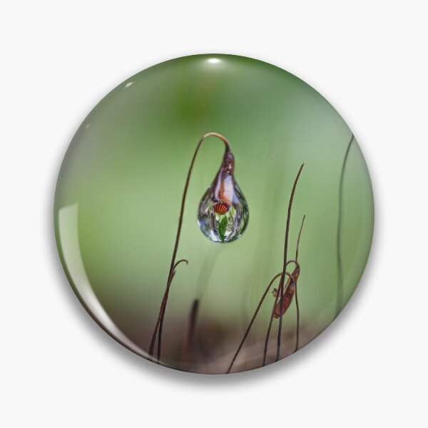 Item preview, Morning raindrops designed and sold by Cornishinoz.