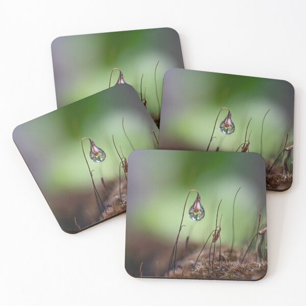 Item preview, Morning raindrops designed and sold by Cornishinoz.