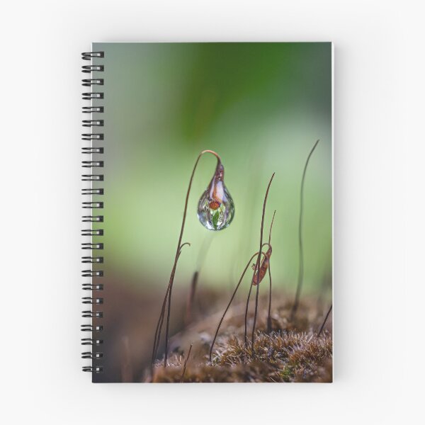 Item preview, Morning raindrops designed and sold by Cornishinoz.