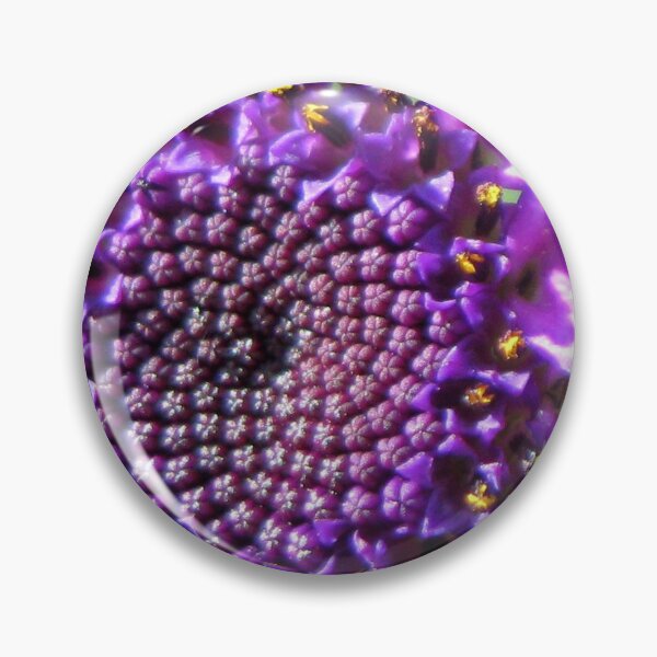 Item preview, A Feast for the Bees - Purple Cineraria designed and sold by Kathryn Jones.