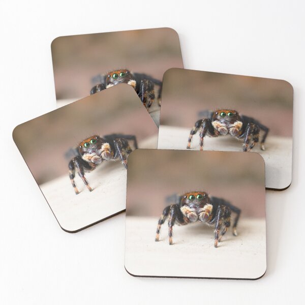 Item preview, Hubert the jumping spider designed and sold by Cornishinoz.