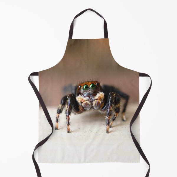 Item preview, Hubert the jumping spider designed and sold by Cornishinoz.