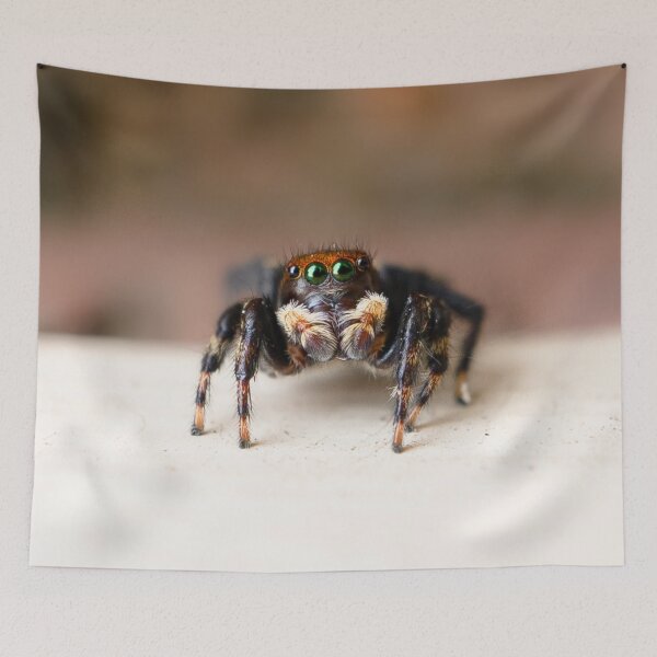 Item preview, Hubert the jumping spider designed and sold by Cornishinoz.