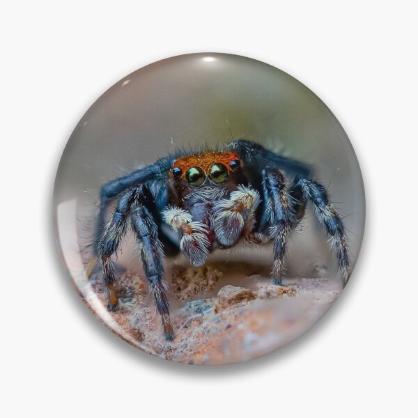 Item preview, Hubert the jumping spider off for a walk designed and sold by Cornishinoz.
