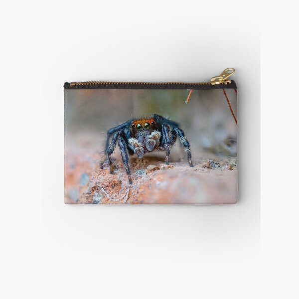 Artikelvorschau, Hubert die springende Spinne spazieren entworfen und verkauft von Cornishinoz.