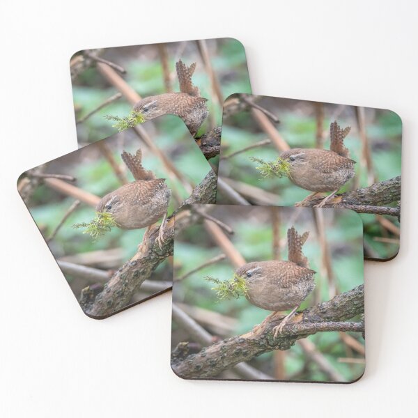 Item preview, Wren designed and sold by Steve Liptrot Photography.