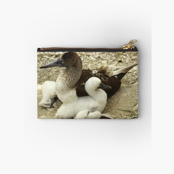 Item preview, Adult Blue Footed Boobie and Chicks designed and sold by rhamm.