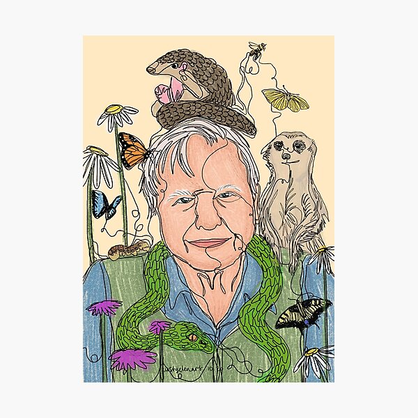 Item preview, David Attenborough and Friends designed and sold by kirstyelen.