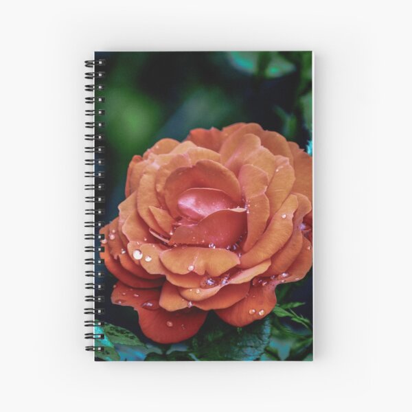 after the storm Spiral Notebook
