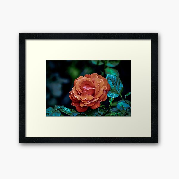 after the storm Framed Art Print