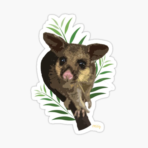 Item preview, Brushtail Possum designed and sold by AchiniK.