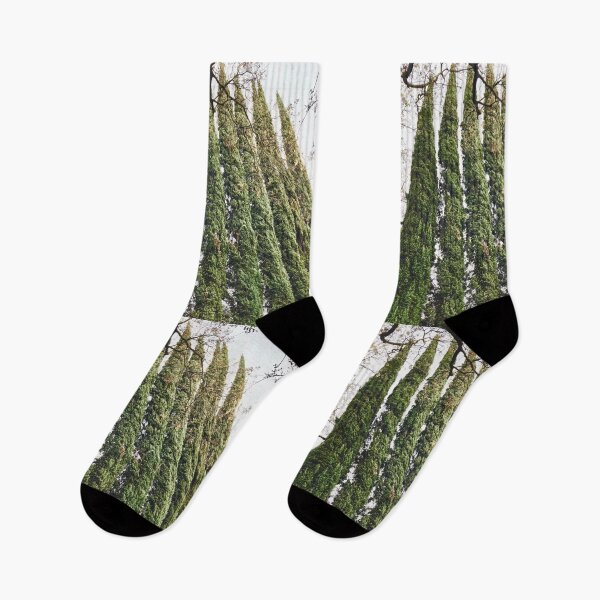 Item preview, Tall Trees & Overcast Sky designed and sold by TM Art.