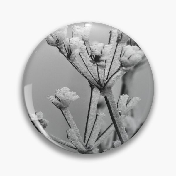 Item preview, Frozen designed and sold by Seashorepics.