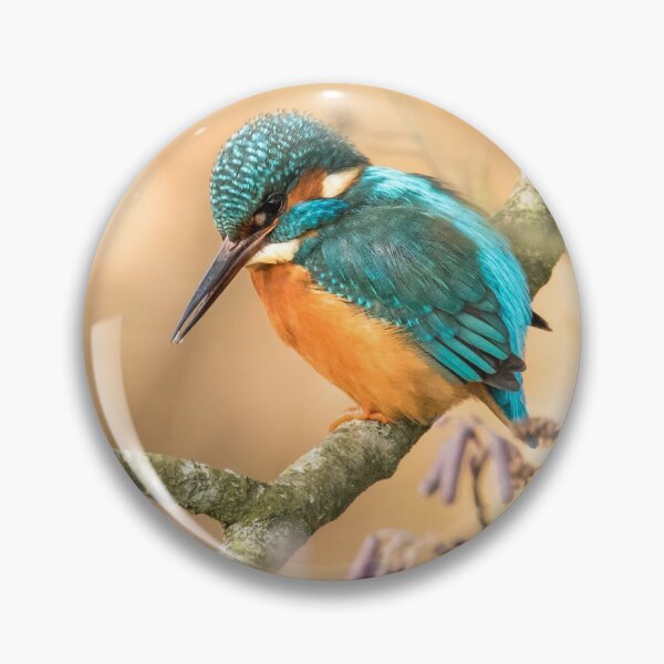 Item preview, Kingfisher and Catkins designed and sold by Jane Stanley Photography.