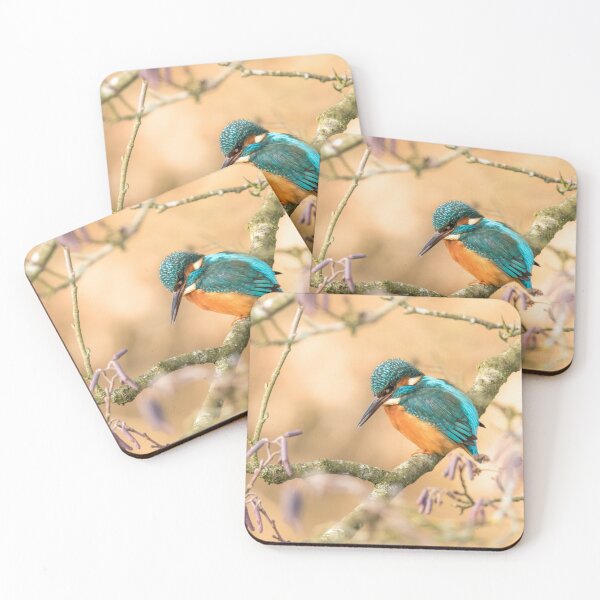 Item preview, Kingfisher and Catkins designed and sold by Jane Stanley Photography.