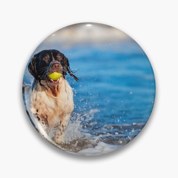 Item preview, English Springer Spaniel designed and sold by RobWalkley.