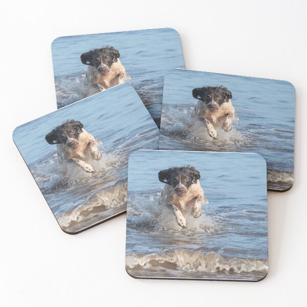 Item preview,  English springer spaniel designed and sold by RobWalkley.