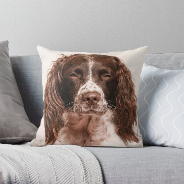 springer spaniel cushions