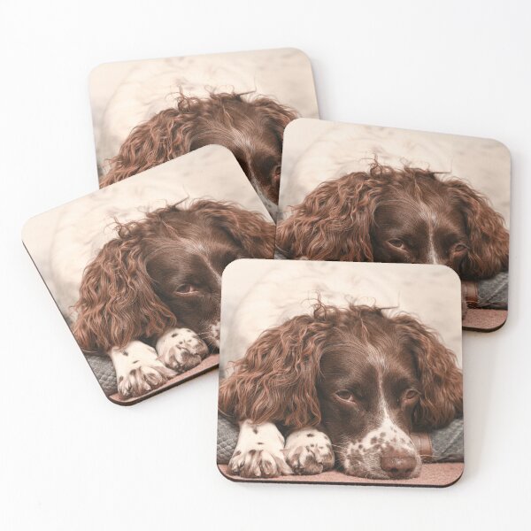 Item preview, English springer spaniel designed and sold by RobWalkley.