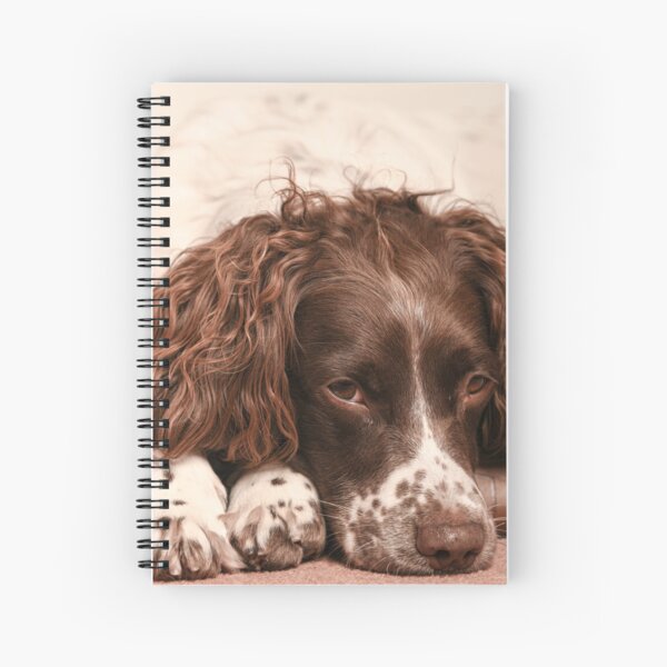 Item preview, English springer spaniel designed and sold by RobWalkley.