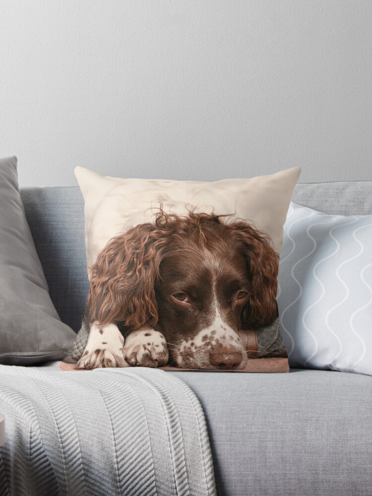 Springer on sale spaniel pillow