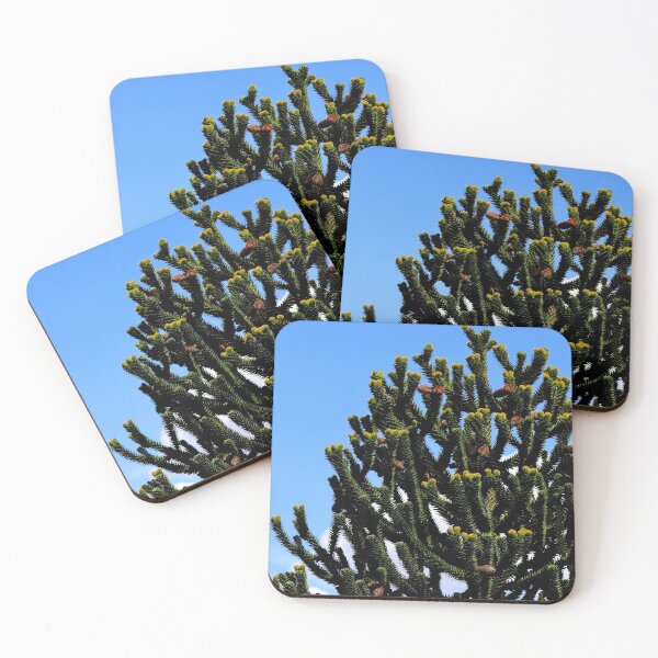 Item preview, Araucaria Araucana Tree on a clear blue sky designed and sold by Michaelerch.