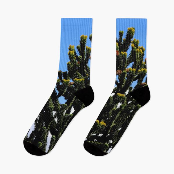 Item preview, Araucaria Araucana Tree on a clear blue sky designed and sold by Michaelerch.